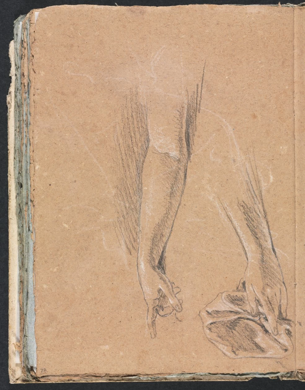 Braccia e mani con drappeggio  - Cleveland Museum of Art